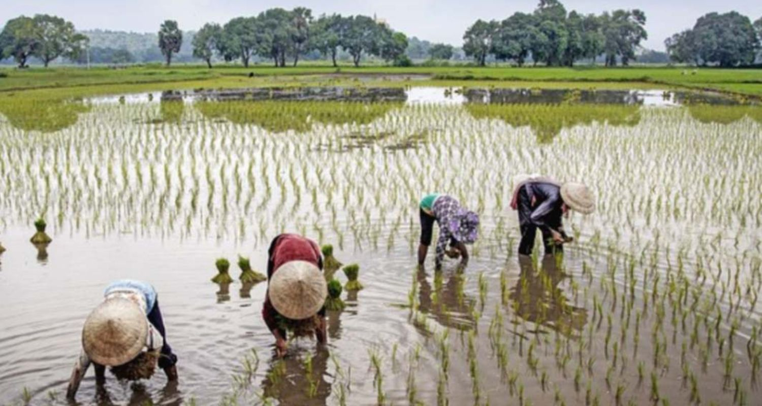 Odisha govt to help farmers