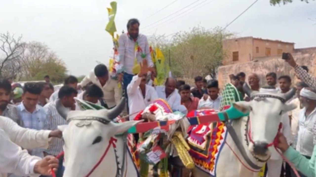 Hanuman Beniwal's bullock cart campaign draws attention in Nagaur polls