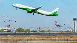 DIAL implements measures to curb bird strikes at Delhi Airport
