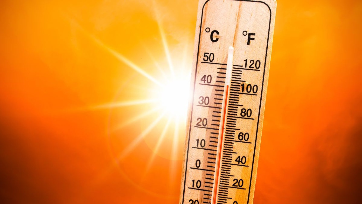 Record-breaking heat: Earth registers hottest March in history 