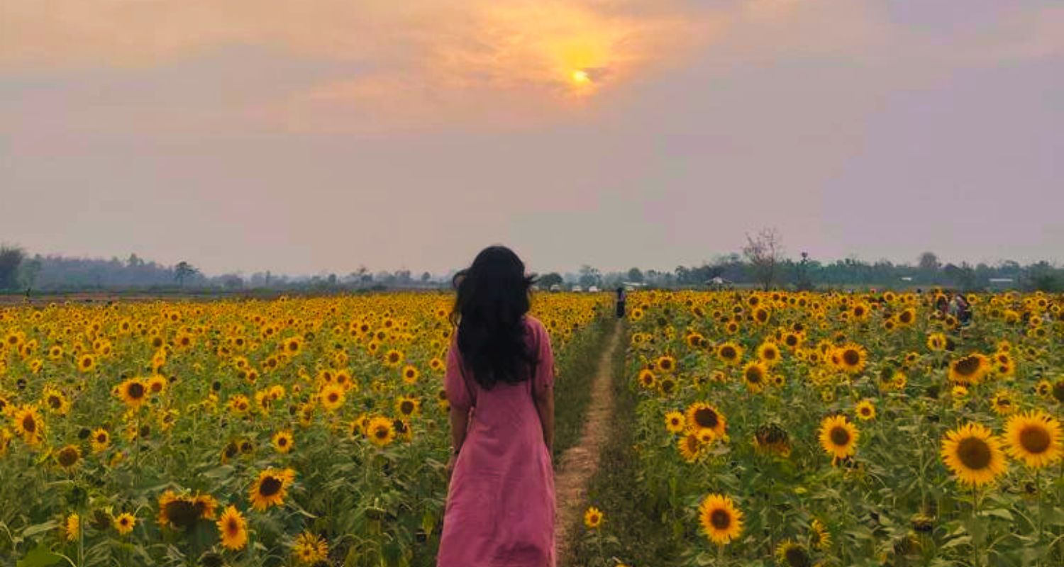 A scene from the rural village of Lhokheto in Nagaland known for its cultivation of sunflowers.