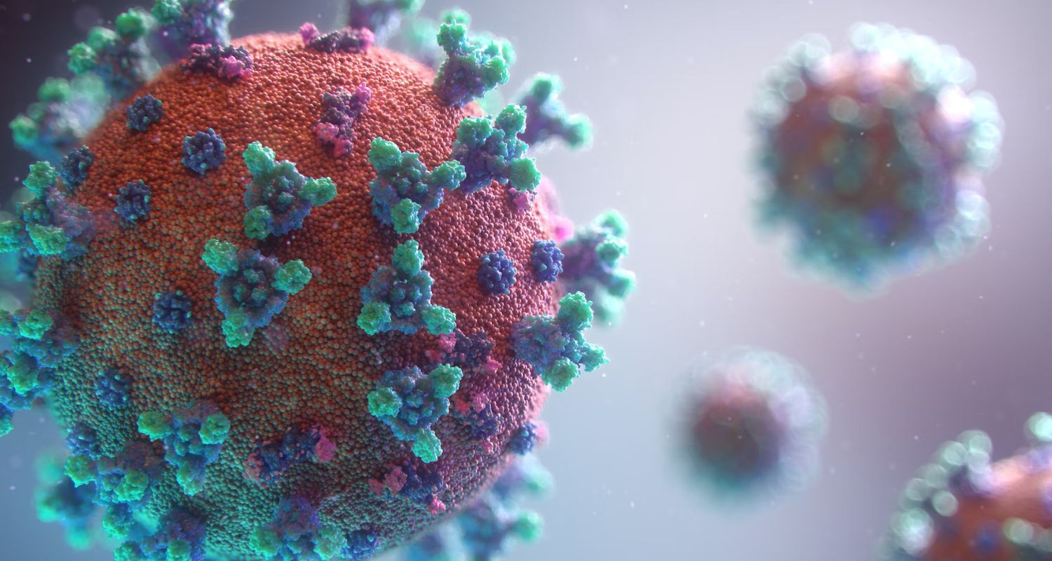 Nipah Virus vaccine invented. 