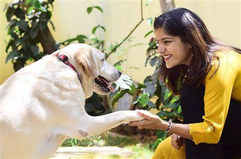 In a bid to aid pet parents in their search for missing pets, Swiggy has announced 'Swiggy Pawlice,' leveraging its vast network of delivery partners.