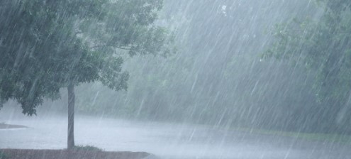 Four die in Kerala of torrential rains.