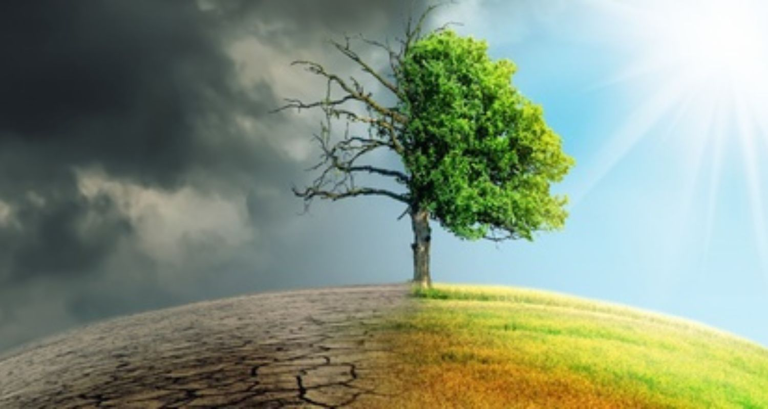 Impact of climate change. Representational Image.