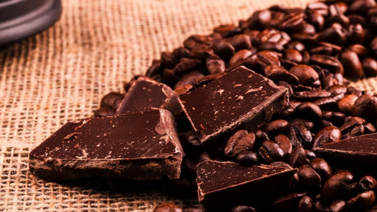 dark chocolates types