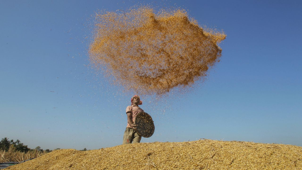 Farmer