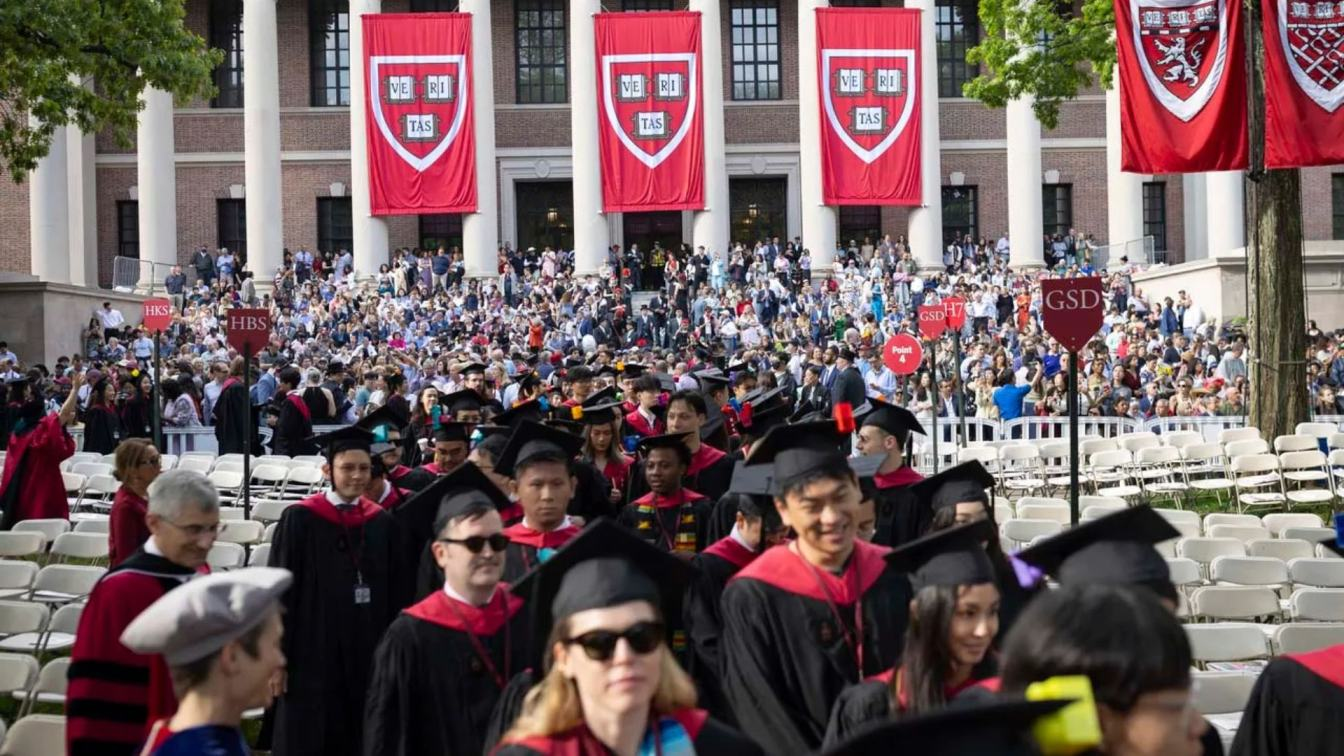 harvard university