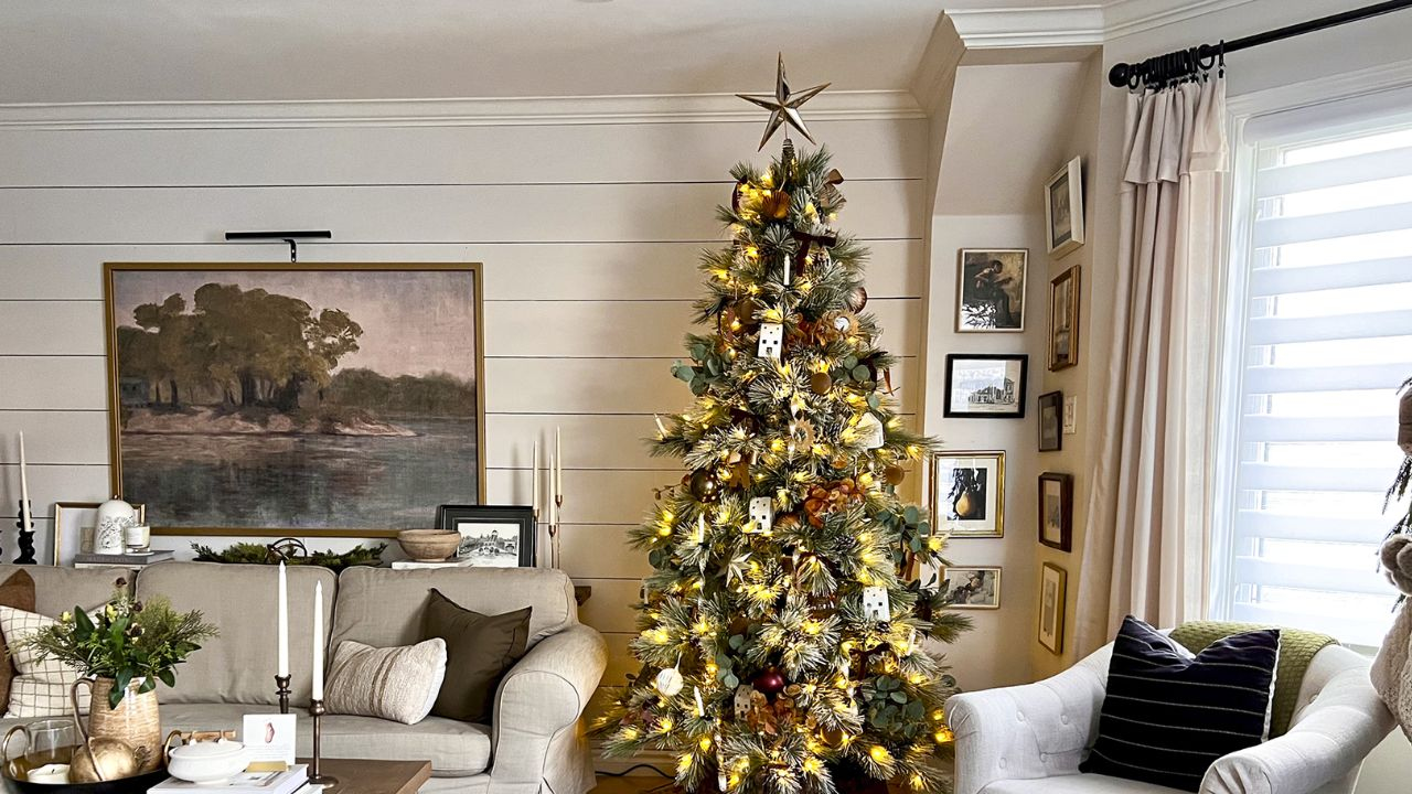 christmas tree 