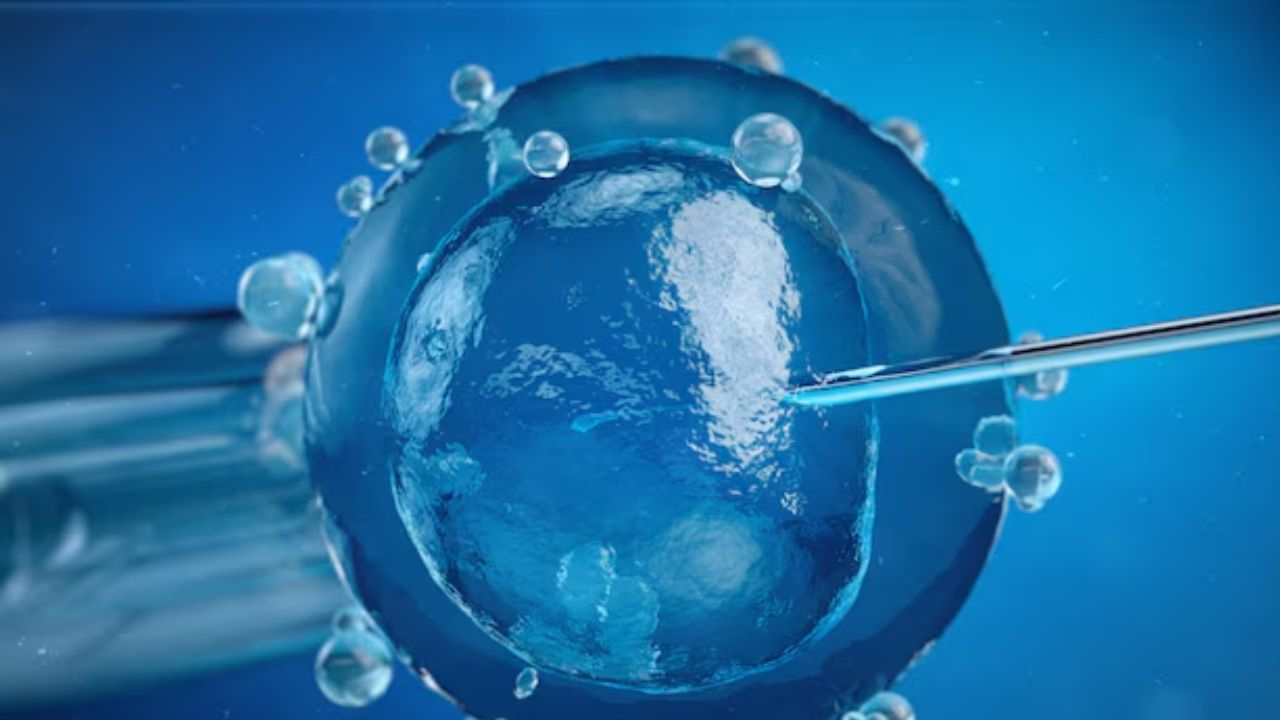 ivf