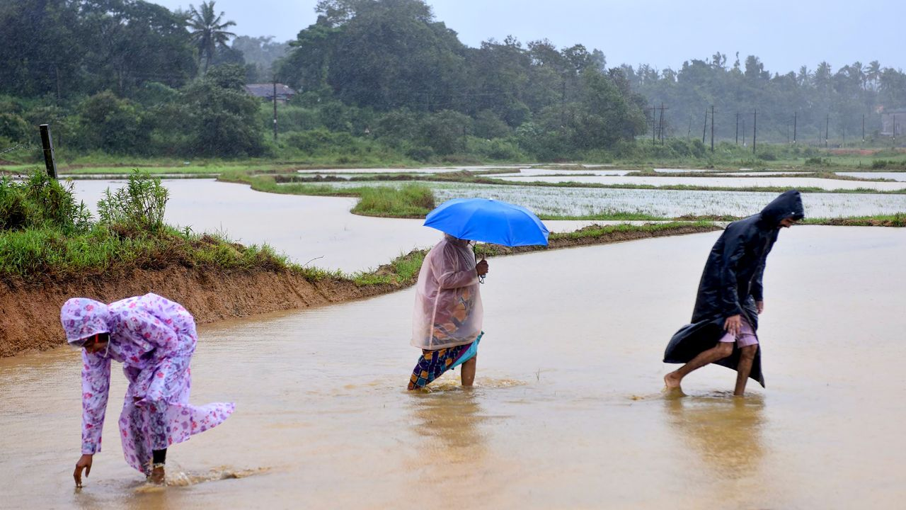 monsoon in india 