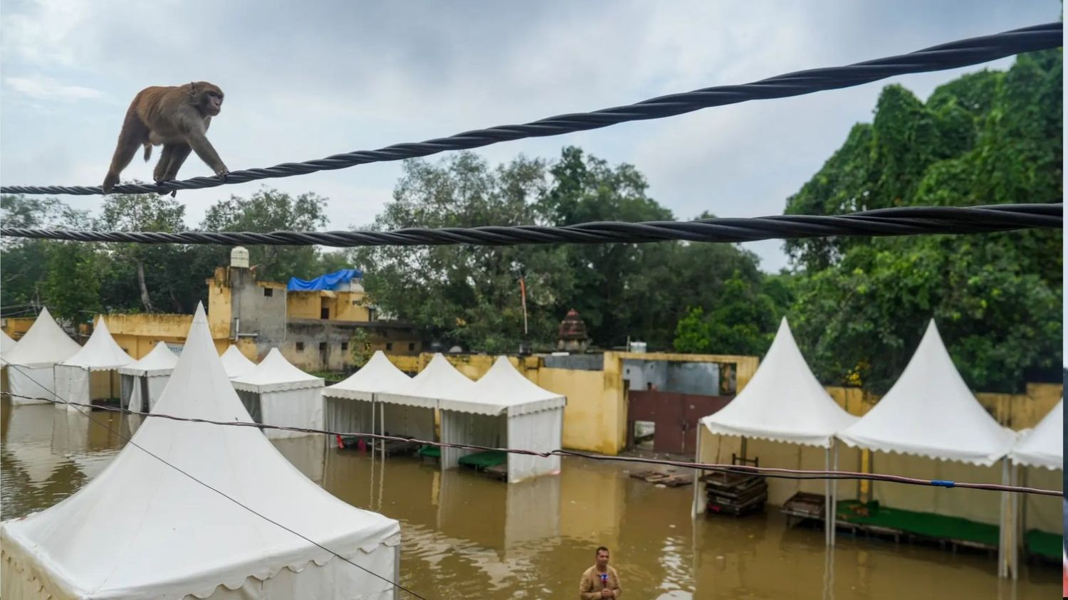 Delhi Flood