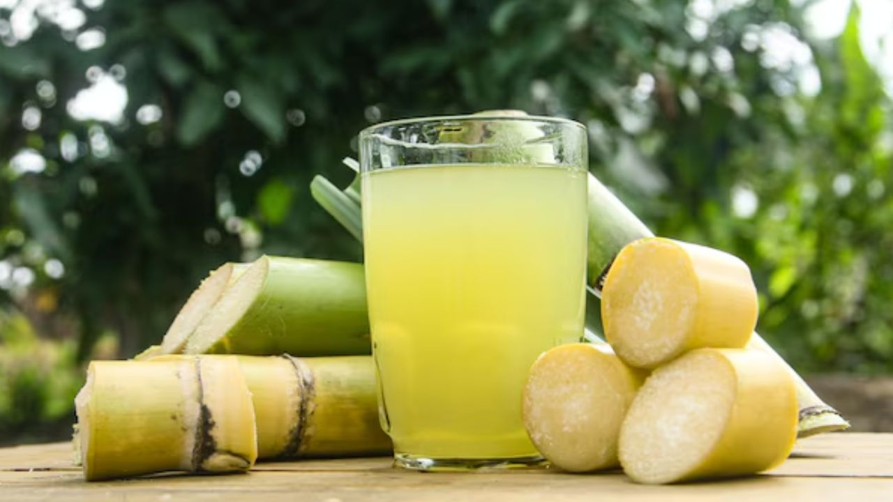 sugar cane