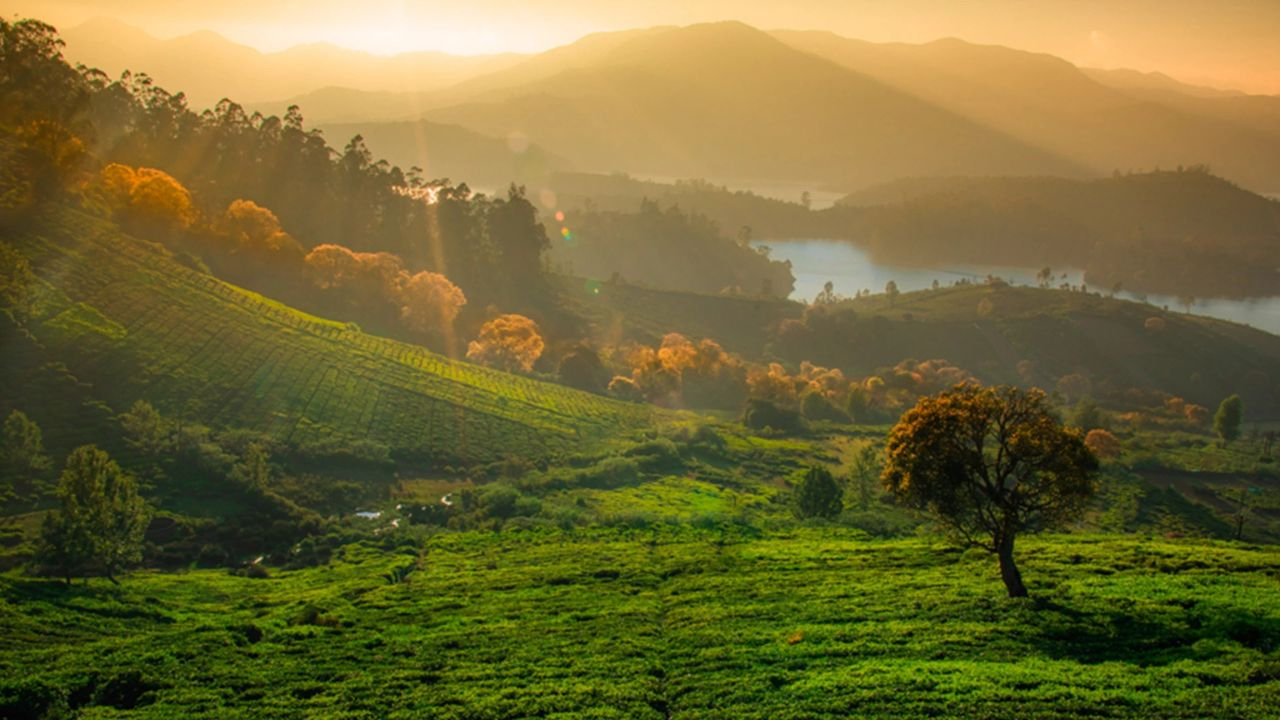 Ooty Hill Station Tamilnadu