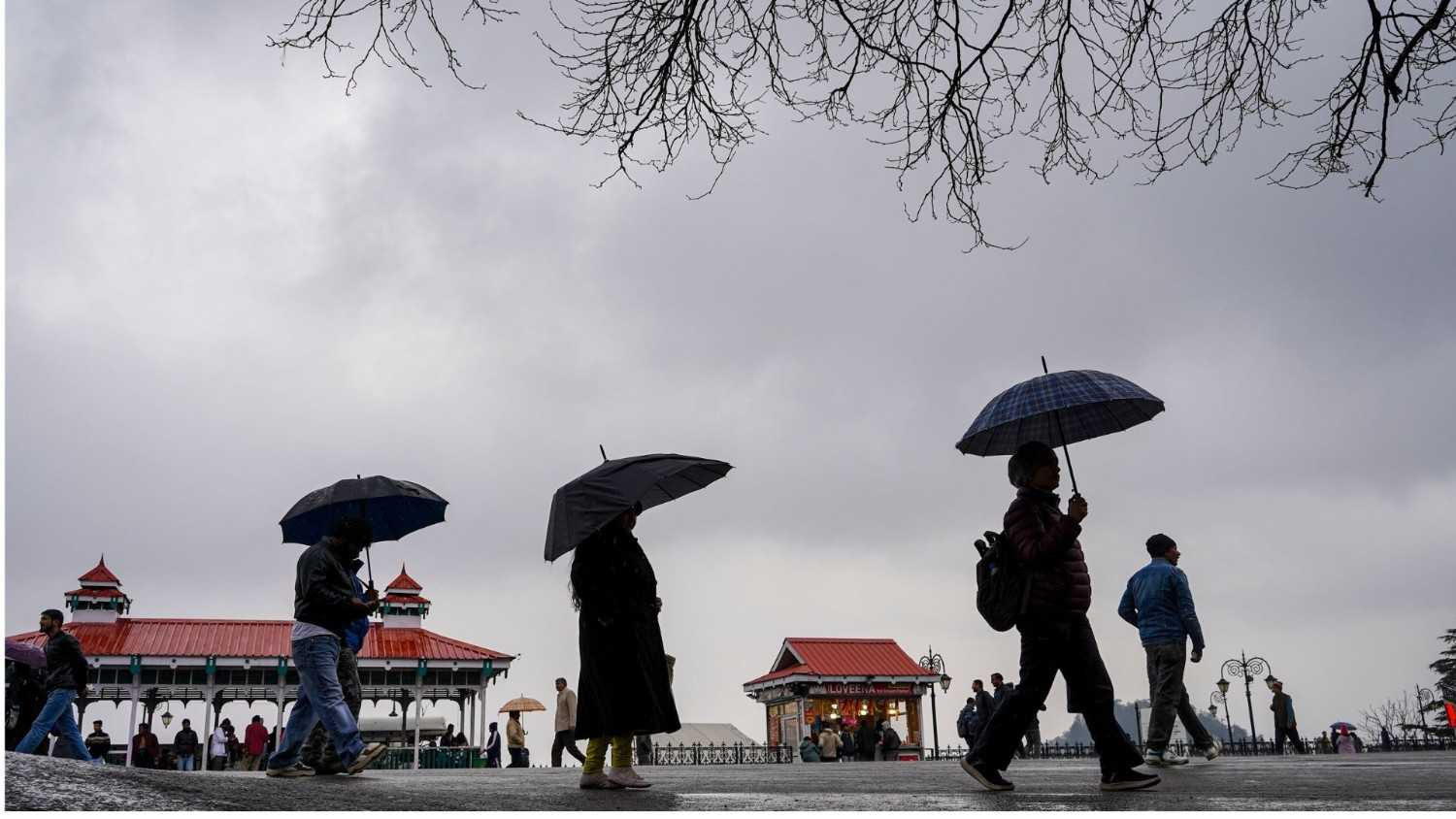Rainfall in Shimla
