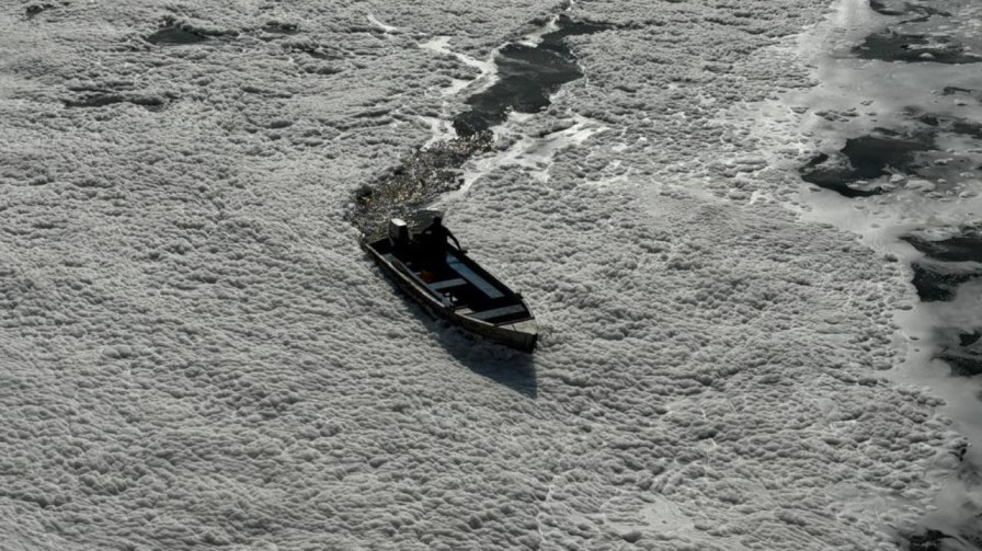 Yamuna pollution