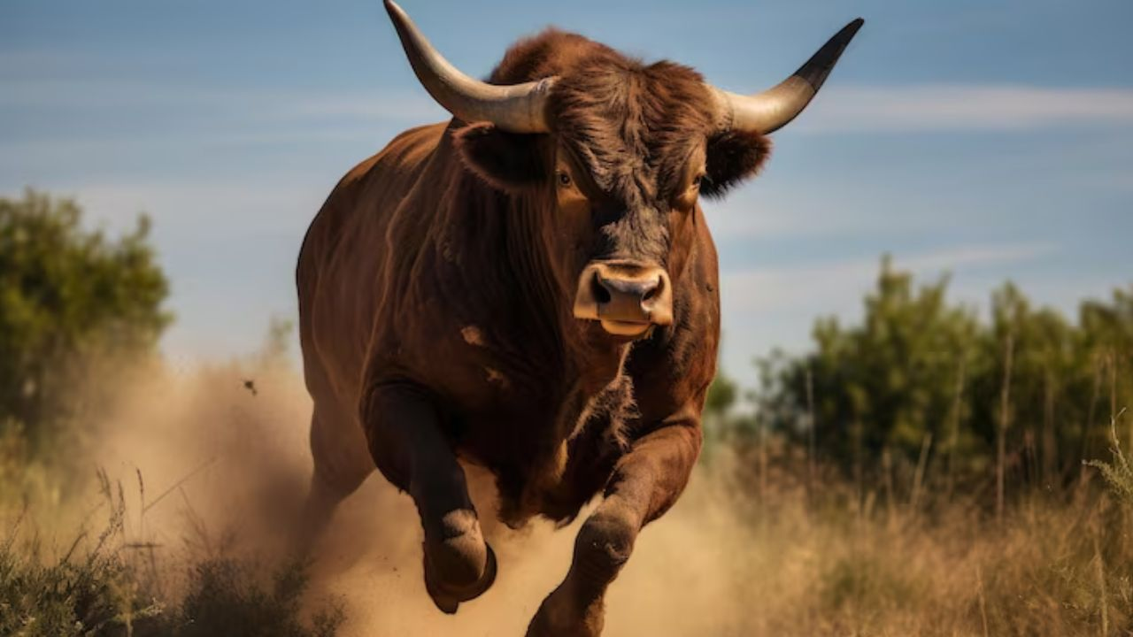 Symbolic Image, Photo Credit: Freepik