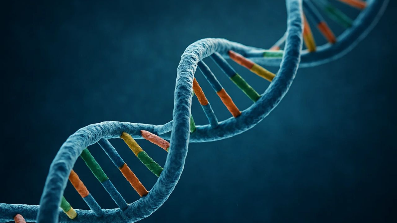 representational image । Photo Credit: AI Generated