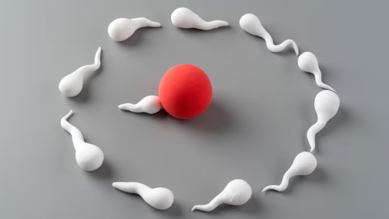 what is egg freezing