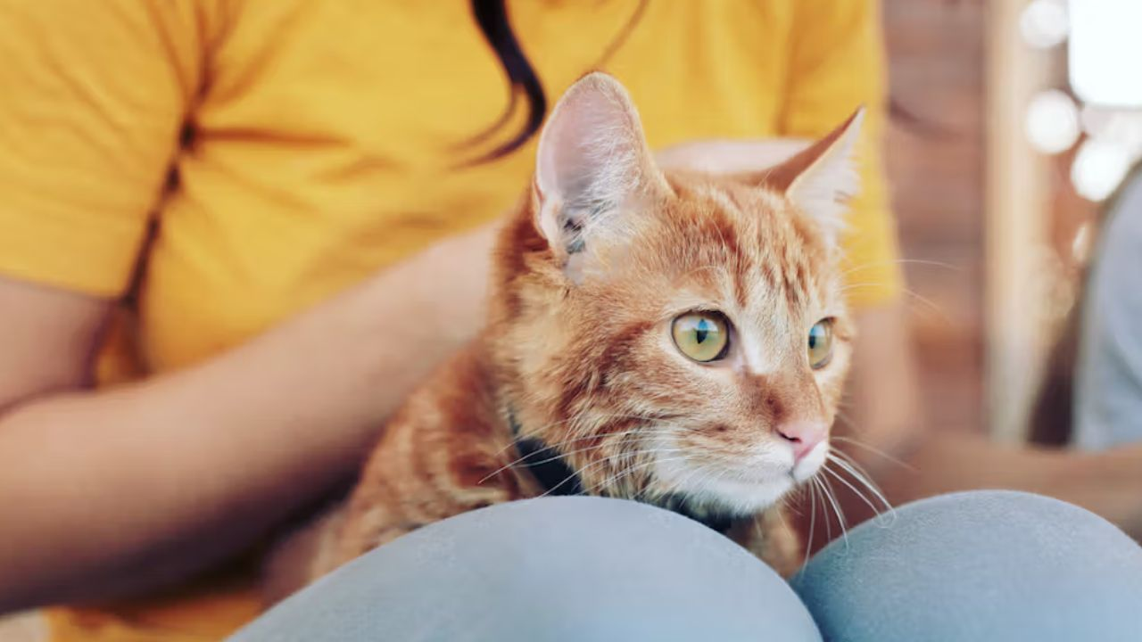 Symbolic Image, Photo Credit: Freepik 