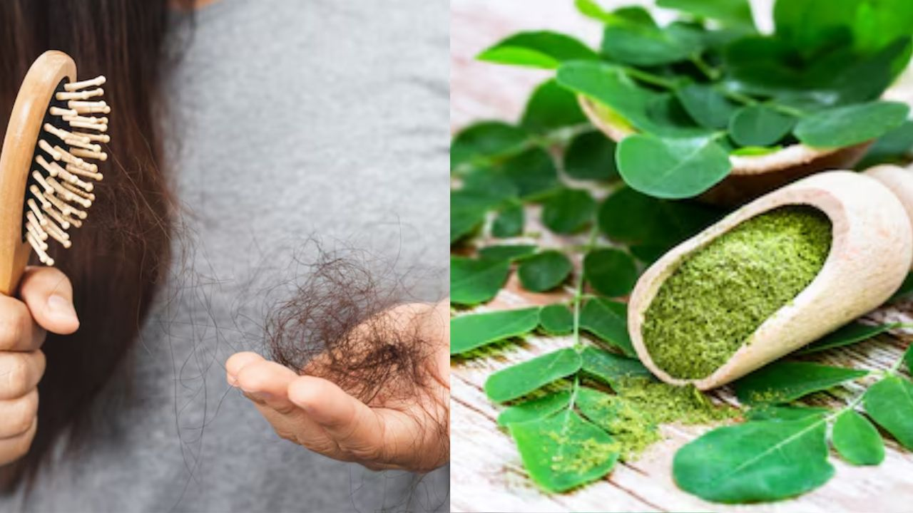 moringa prevents hairfall