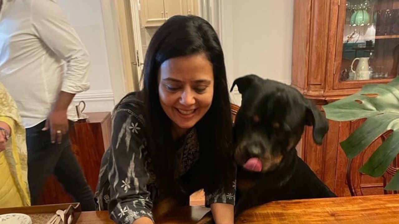 TMC MP Mahua Moitra approach High Court for pet Henry case related to ex partner