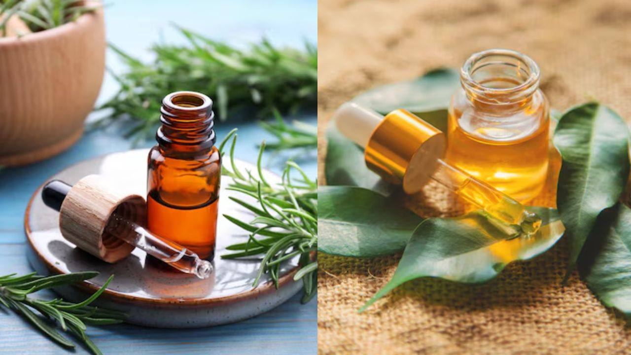 Rosemary Vs Teatree Oil