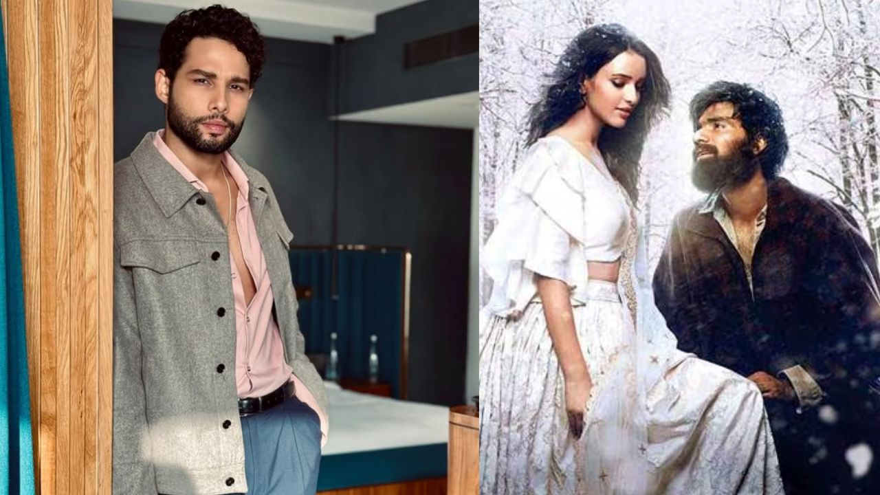 Siddhant Chaturvedi rejected Laila Majnu