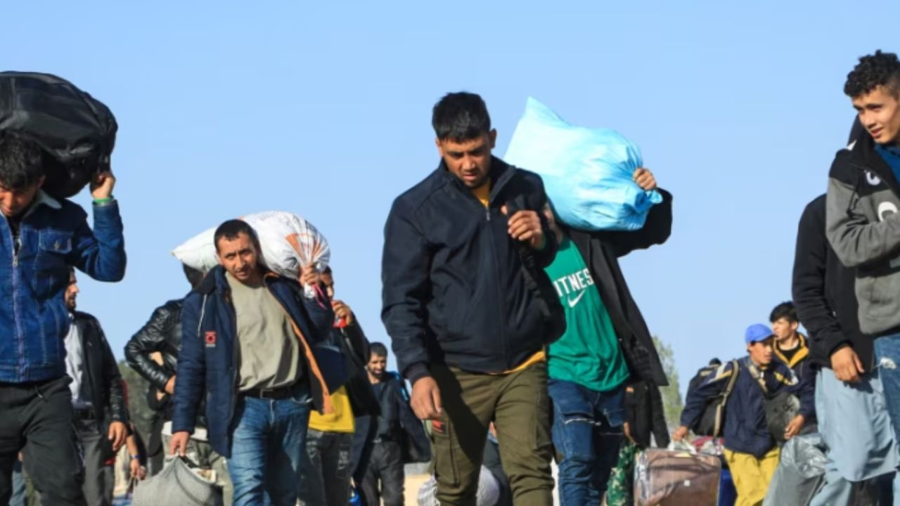 Representational Picture