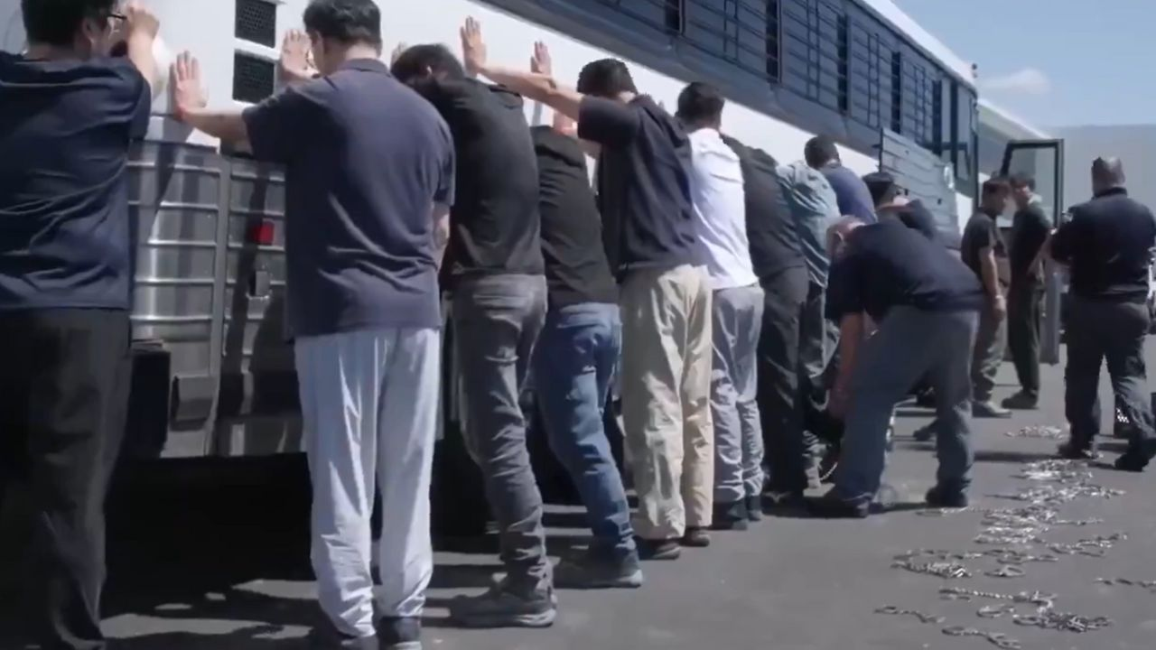 georgia ice raid