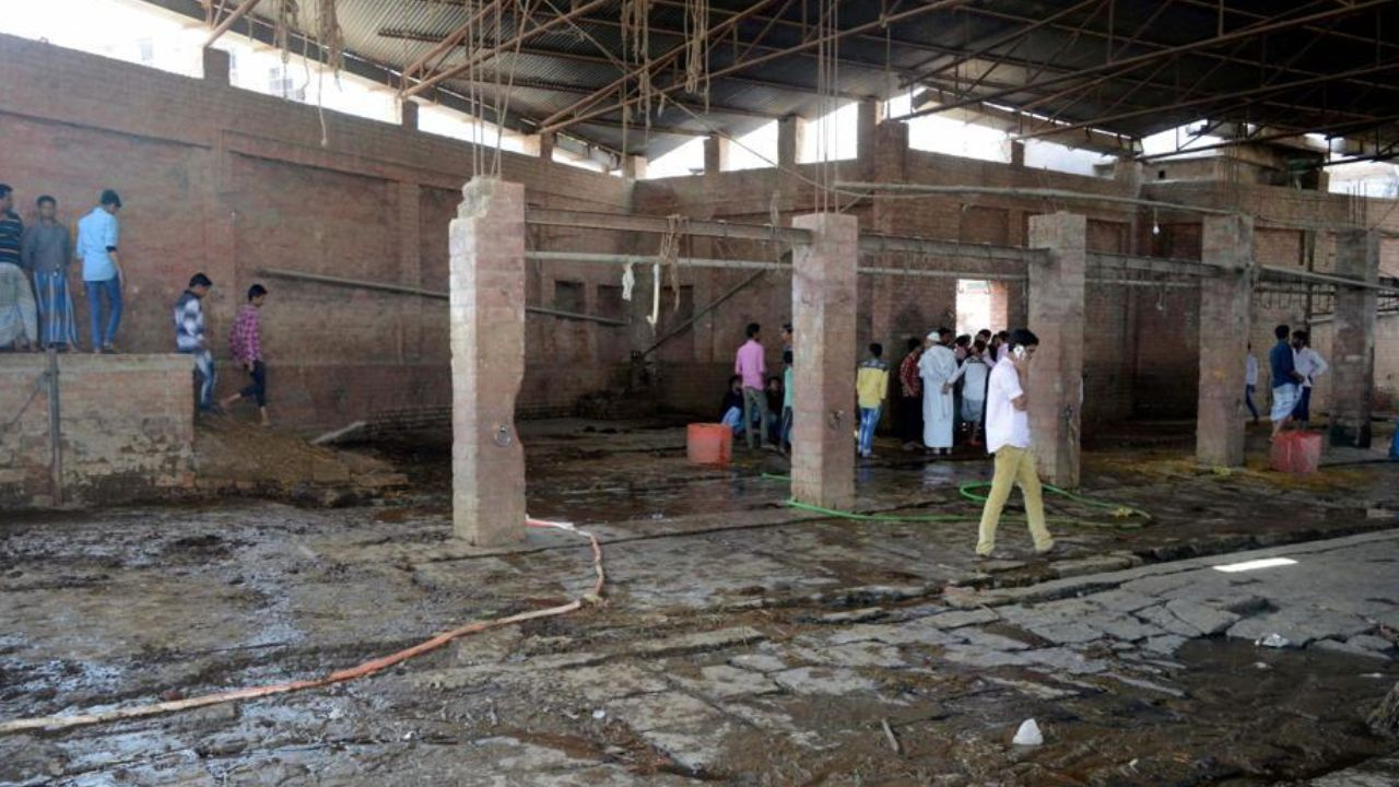 slaughter house