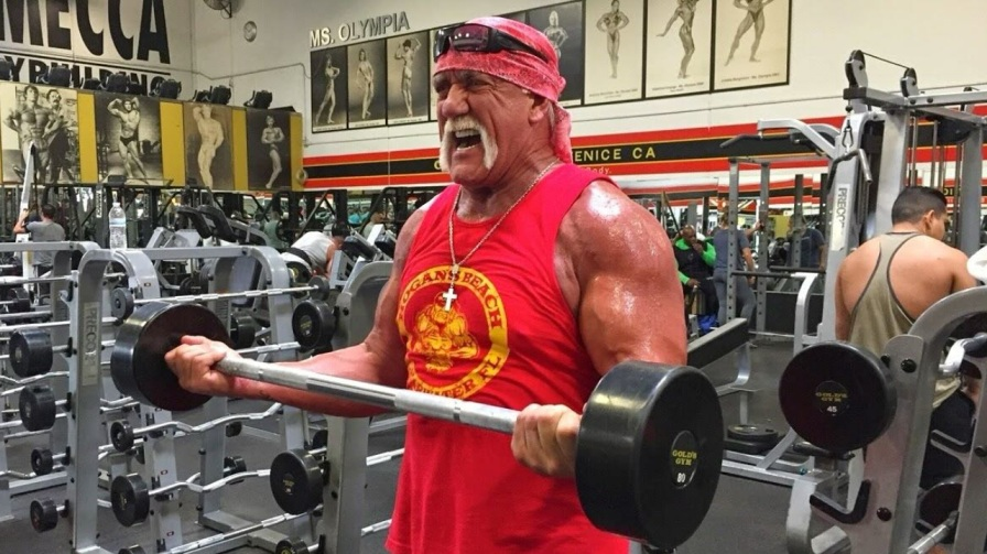 Hulk Hogan