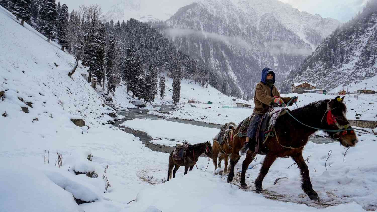 Snowfall in Sonmarg