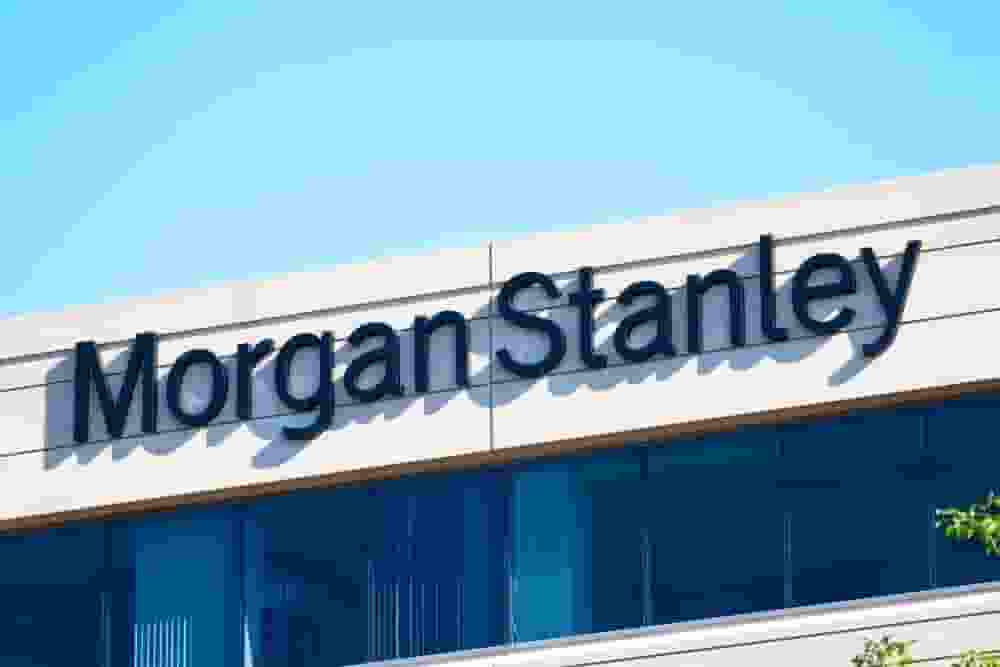India's economy is experiencing a robust expansion driven primarily by investment, say economists at Morgan Stanley. 