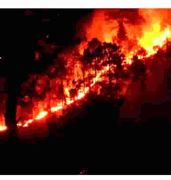 The fire, which started in the Dhara Dogano area of the Basholi belt in the Kathua district and quickly spread to regions close by, was put out after several hours of firefighting by forest department officials and local residents. 