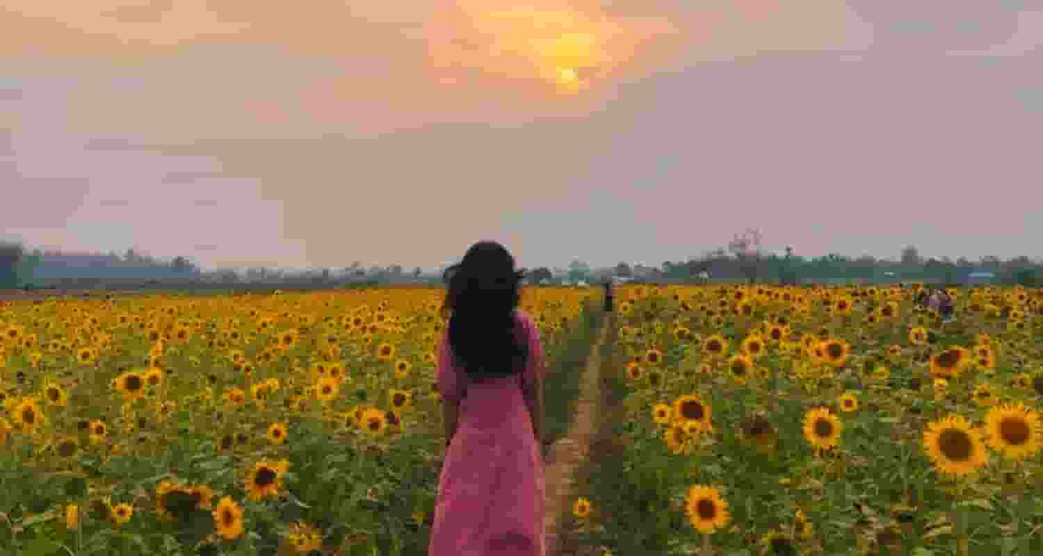 A scene from the rural village of Lhokheto in Nagaland known for its cultivation of sunflowers.