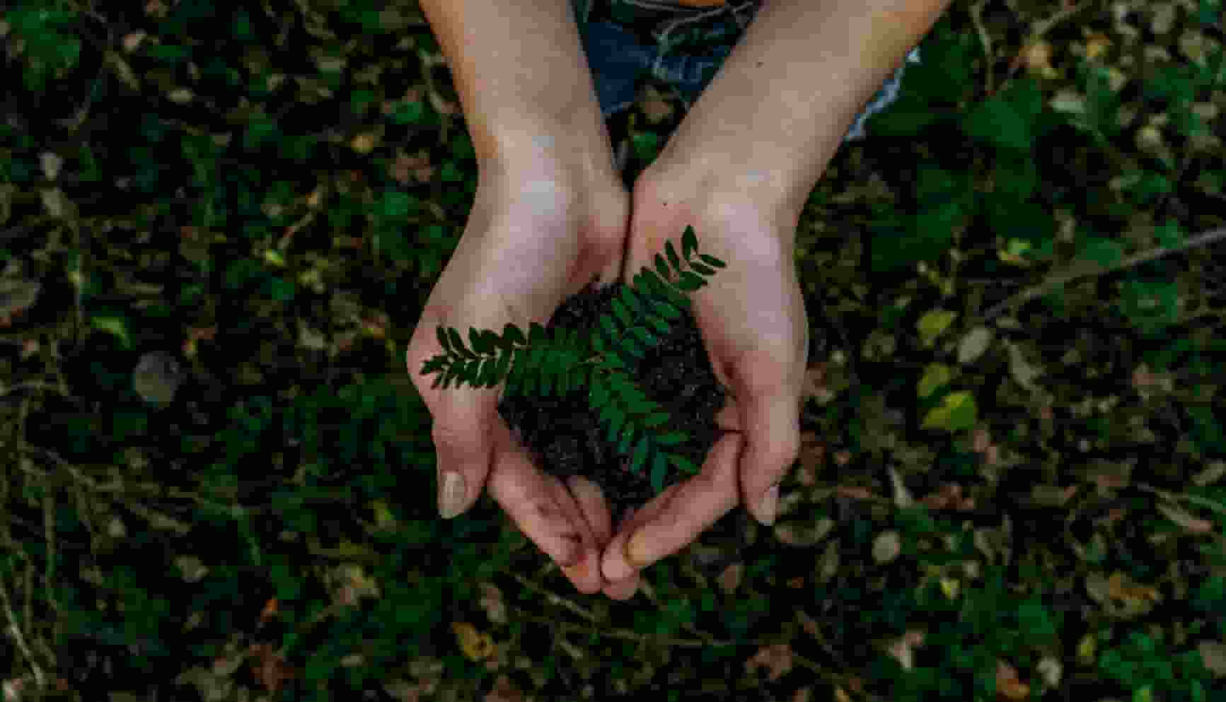A simple way has been developed to use ‘ecoacoustics’ or sound to monitor life in soil, which could help improve soil health worldwide.