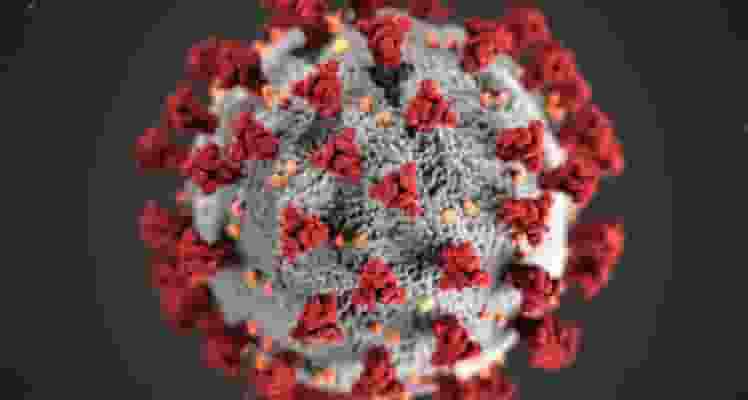 COVID19, disease, india, corona, omicron, JN,1 variant, daily, new cases, health