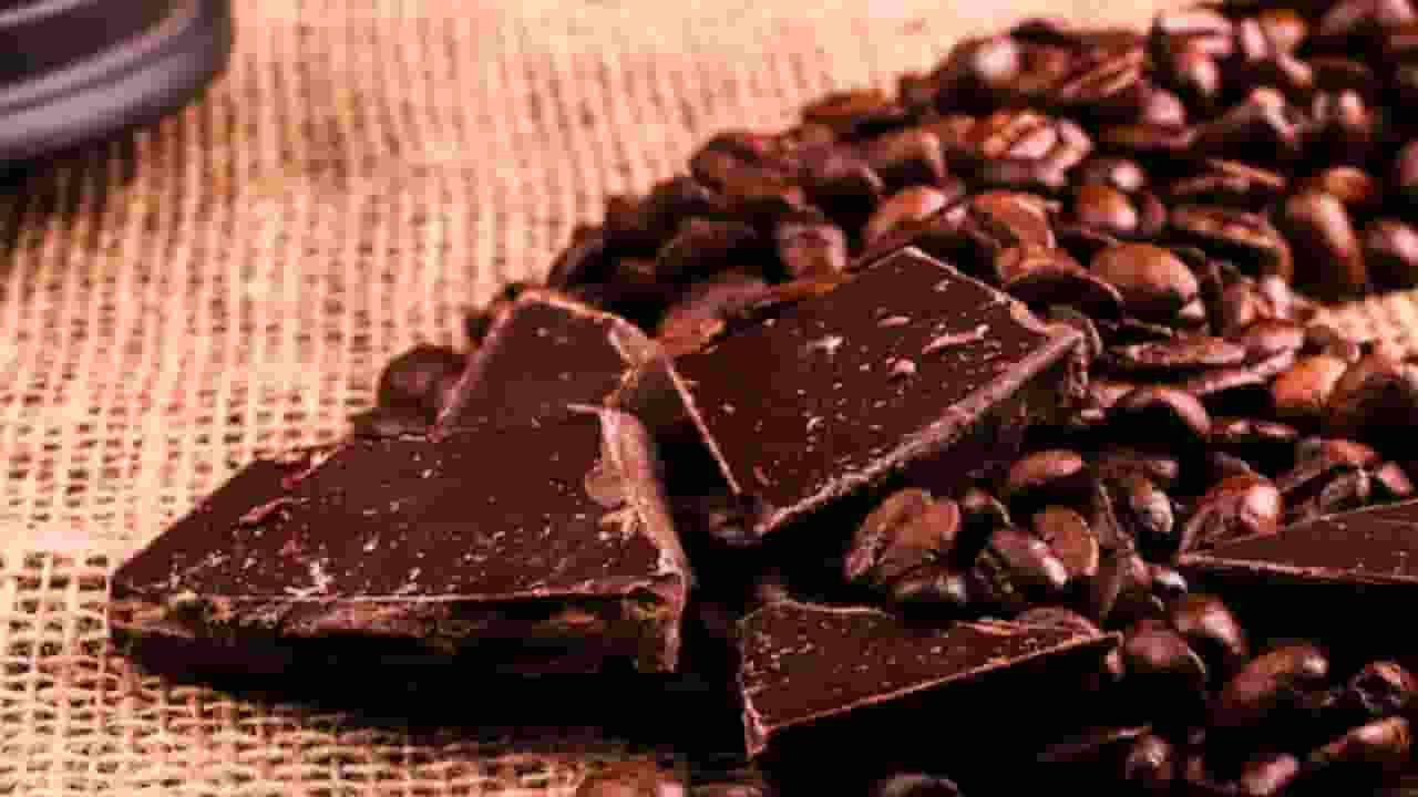 dark chocolates types
