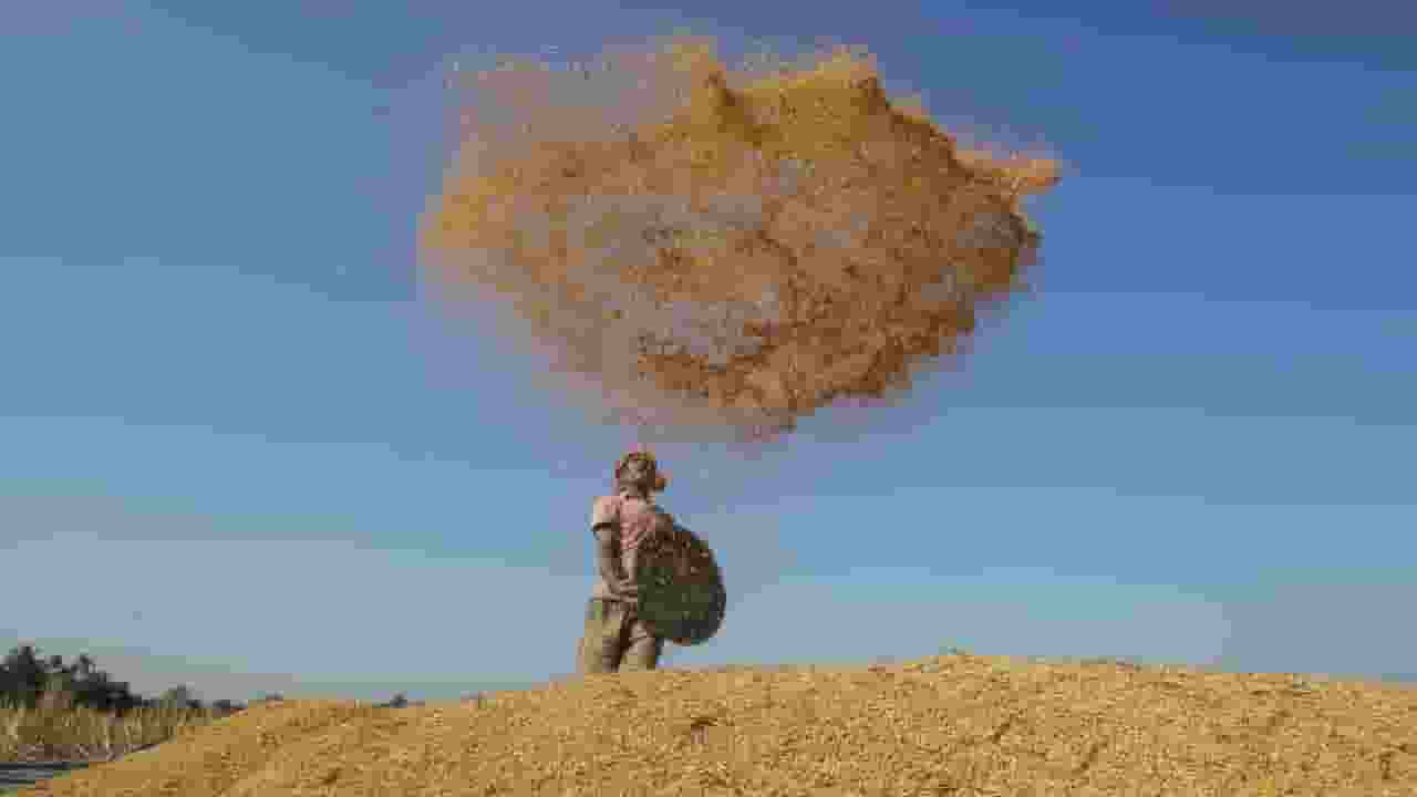 Farmer