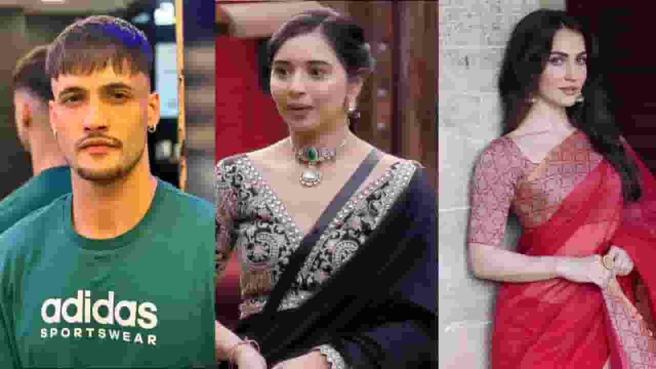 asim riaz, tanya mittal and elli avram