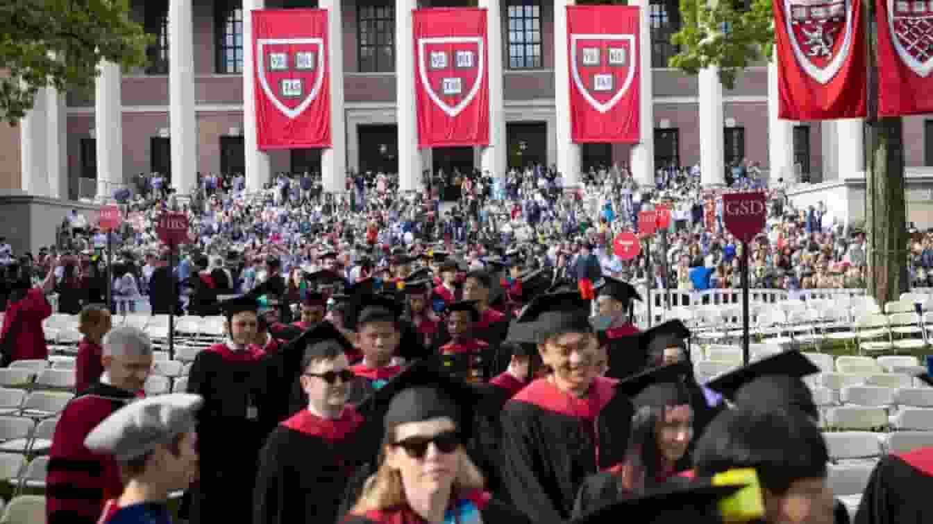 harvard university