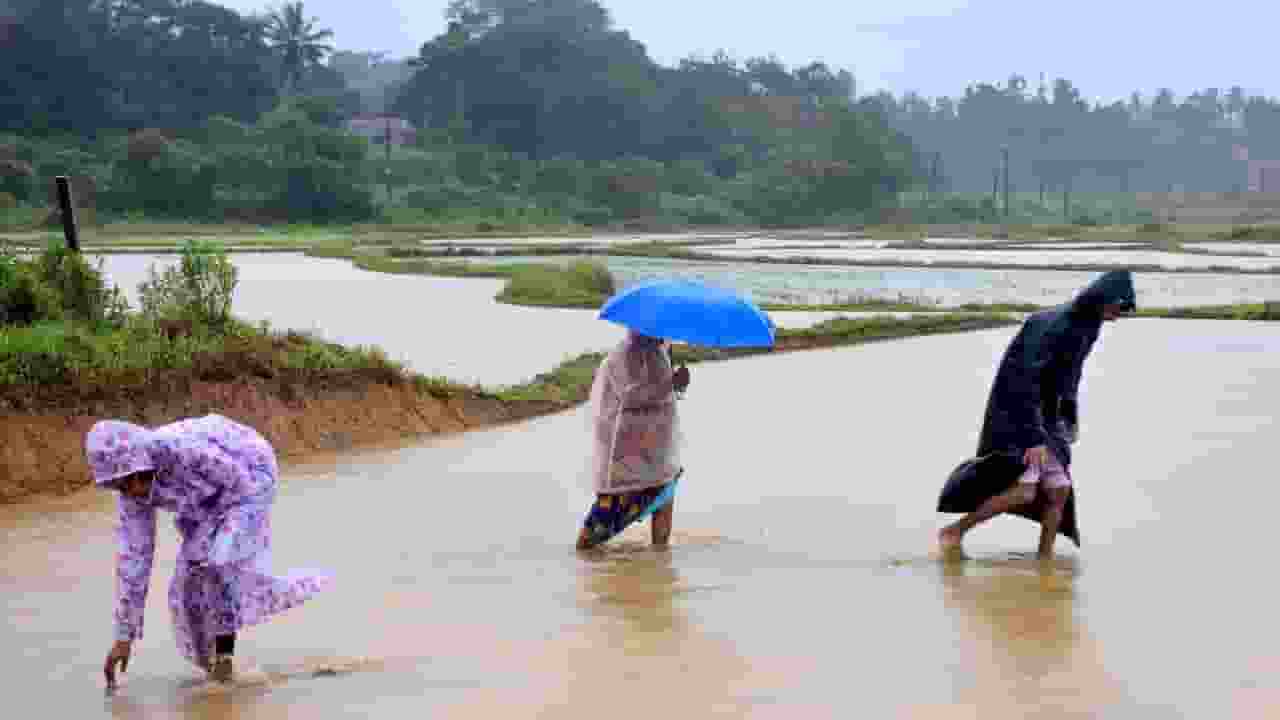 monsoon in india 