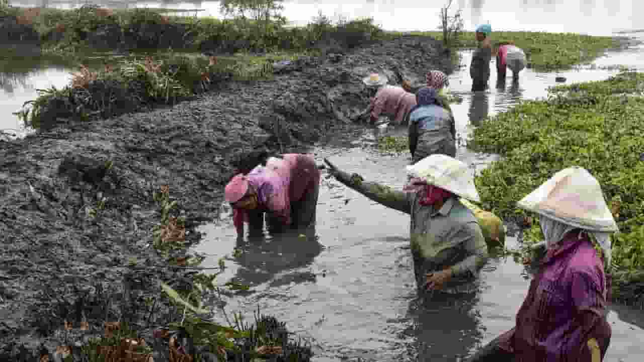 mgnrega