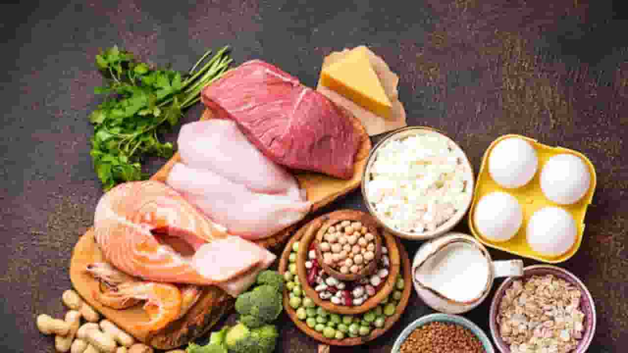 protein rich diet