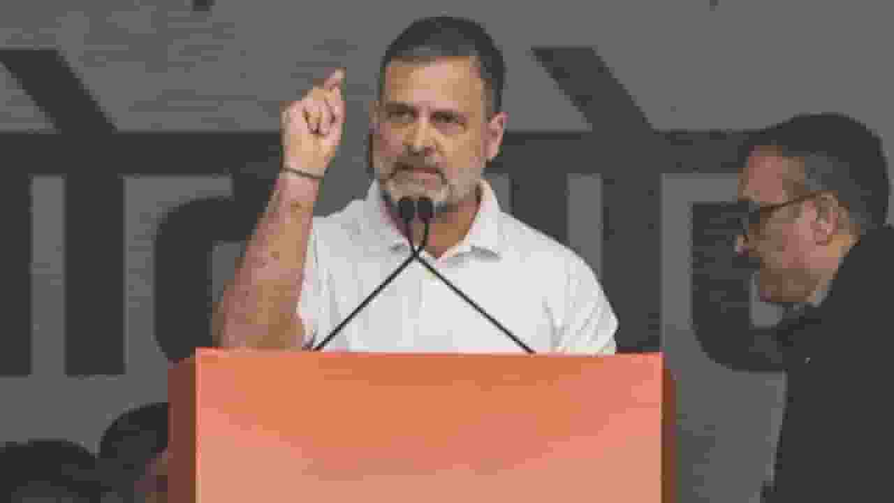 rahul gandhi 