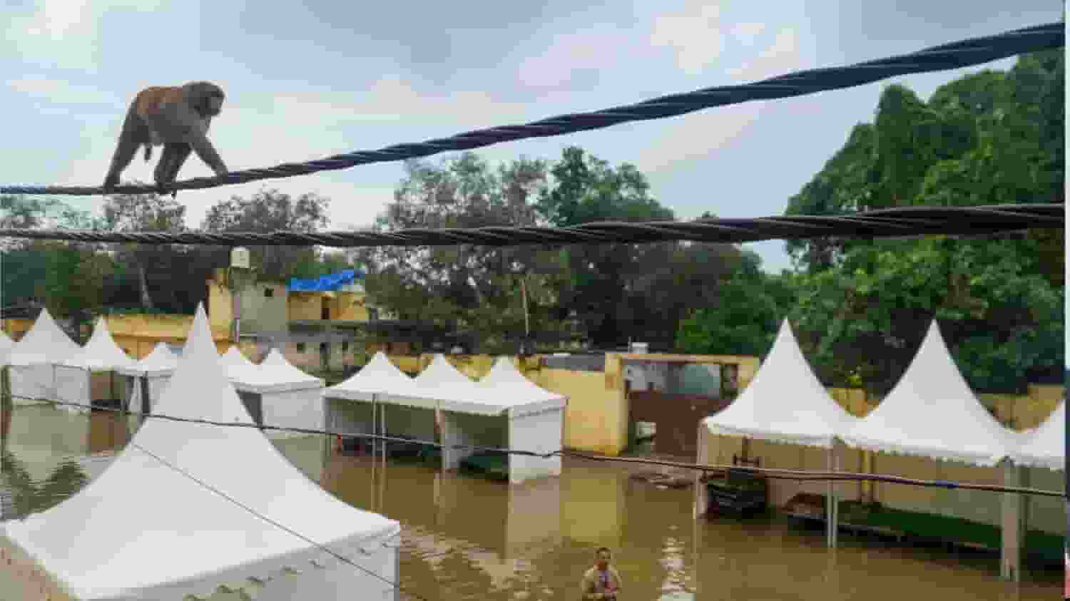 Delhi Flood