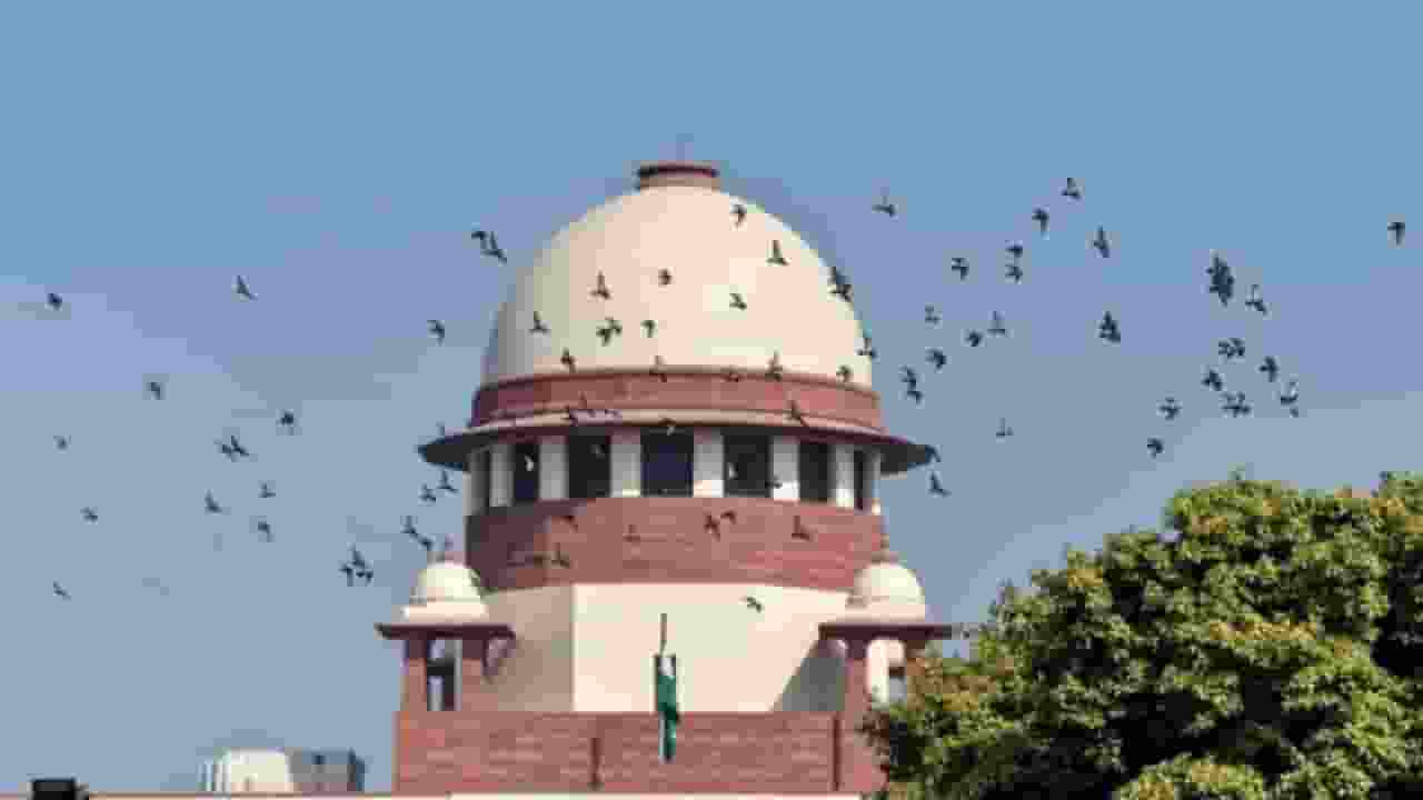 supreme court