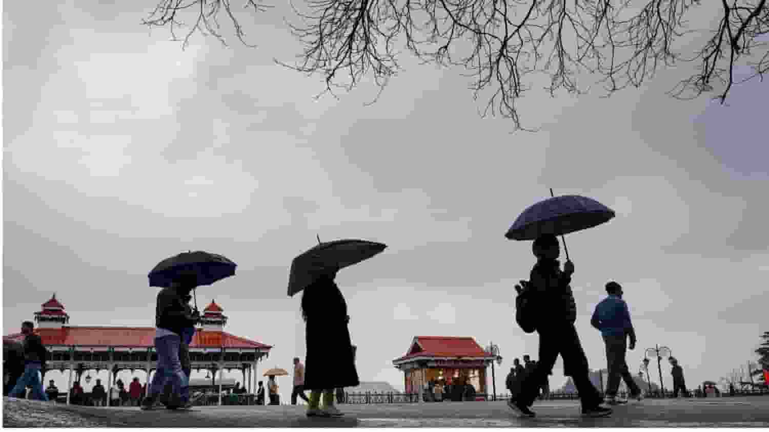 Rainfall in Shimla
