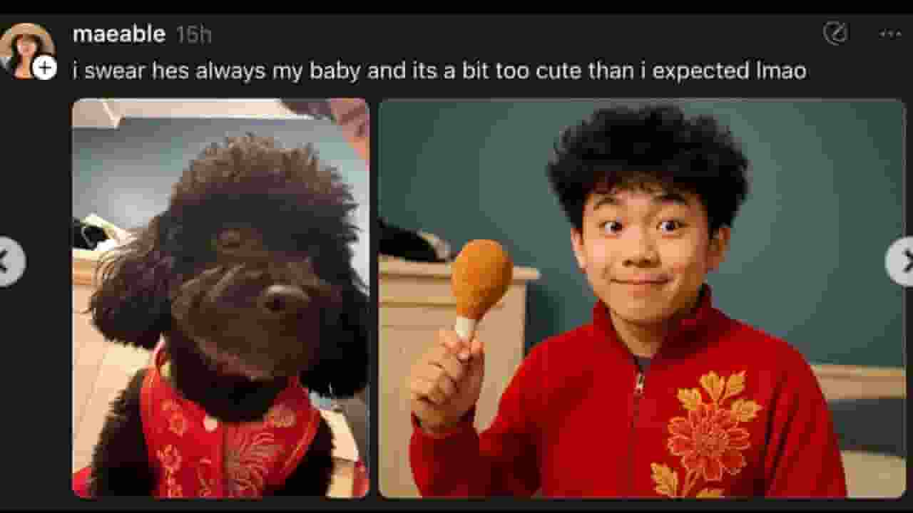 Image of ChatGPT pet to person trend